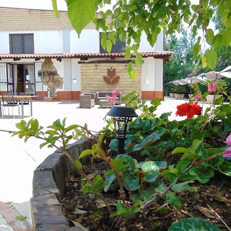 Casale Rurale Bed & Breakfast San Marco Evangelista Exterior photo
