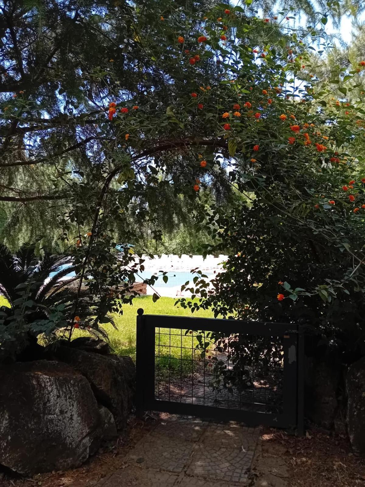 Casale Rurale Bed & Breakfast San Marco Evangelista Exterior photo
