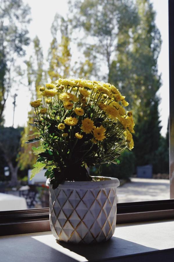 Casale Rurale Bed & Breakfast San Marco Evangelista Exterior photo